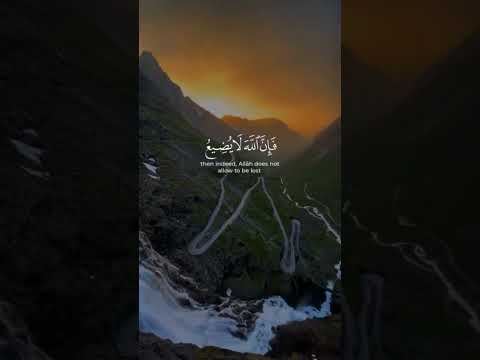 دولة التلاوة تلاوة للقارئ الشيخ محمد صديق المنشاوي رحمه الله تعالى 