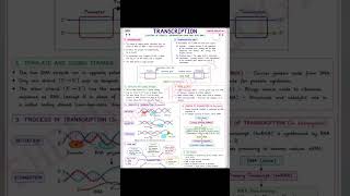 transcription #biology #bio #neet #science #school