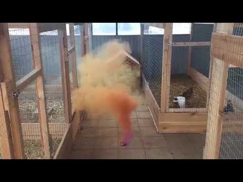 Йодовая шашка - YouTube