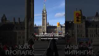 Пропалестинские МИТИНГИ в Канаде #Канада #Путешествия #Оттава #Shorts #Ливадняя
