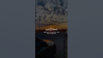 سورة آل عمران-شيخ صلاح بوخاطر #قرآن #اجر_لي_ولكم💕