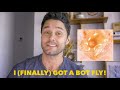 I&#39;m Having A Bot Fly!