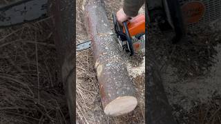 STIHL - MS 250 в роботі