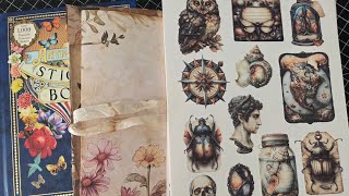 Let's Create A Flip Flappy Book/ Cabinet Of Curiosities  🐦🐠🪲🐞🦋