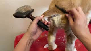 Kenchii Razor for blending