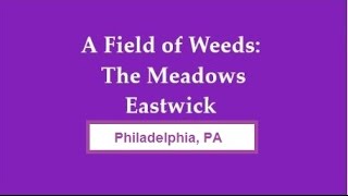'A Field of Weeds'  The Meadows aka Eastwick HD  Entire Doc.