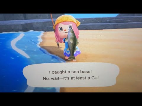 ASMR (?) Catching bugs & fish in Animal Crossing New Horizons - YouTube
