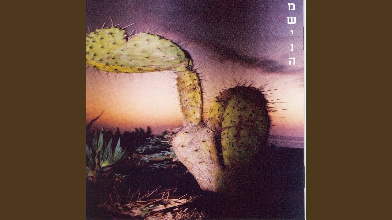 שלח לי מלאך