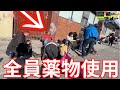 全てのド◯ッグを合法にした地域が悲惨すぎた...