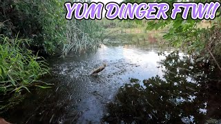 YUM DINGER KNOWS ALL... -  FISHIN' FADED EP24