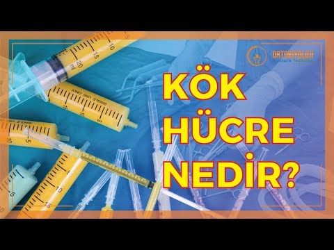 Video: Kök Bitkilərinin Inceltilmesi