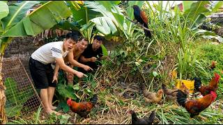 Snakes Everywhere! Unexpected Discovery in Our Backyard