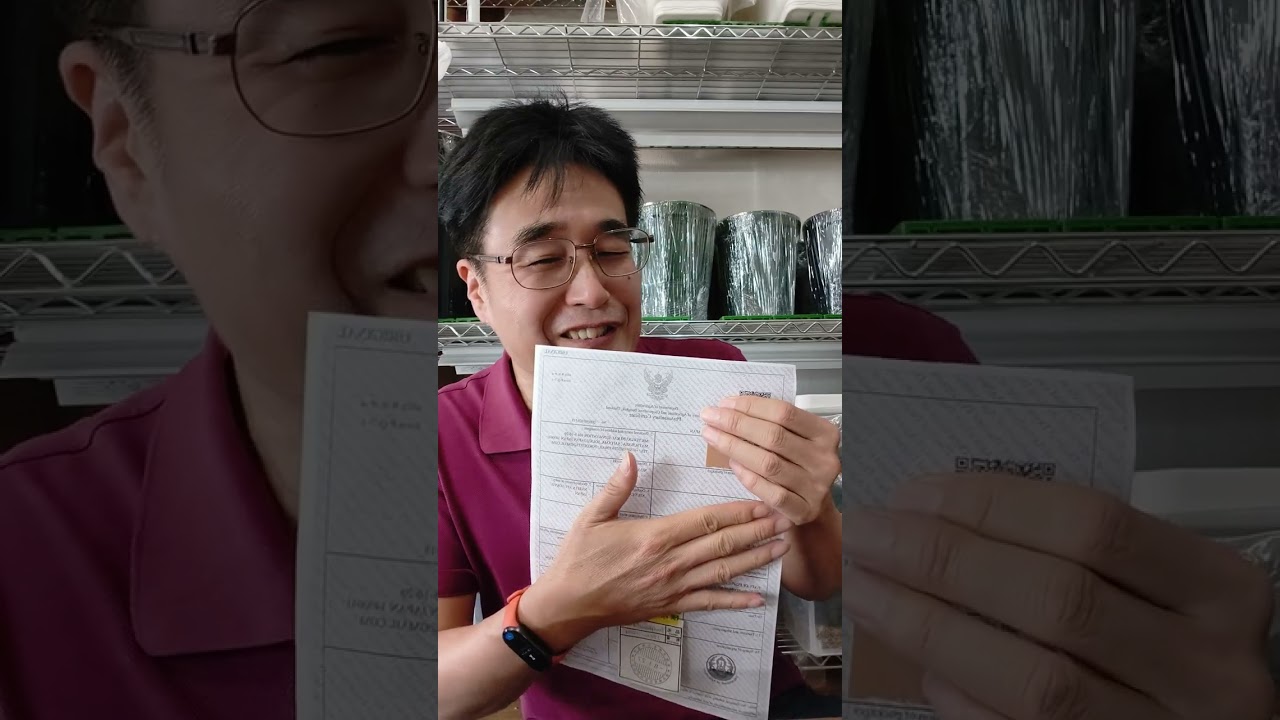 植物検疫証明書の誤記は実際どうなるの？ってお話。 - YouTube