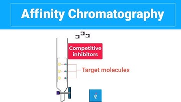 Affinity Chromatography (With Animation)