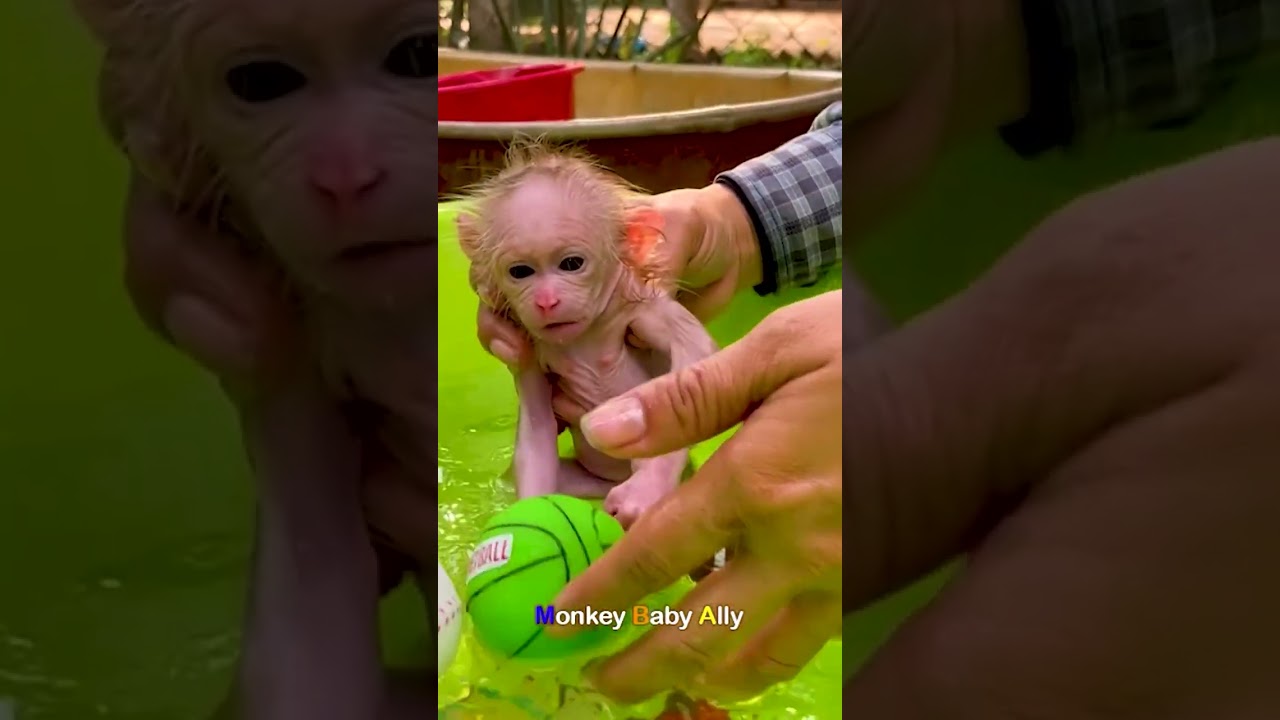 baby Ally Very afraid of Water 