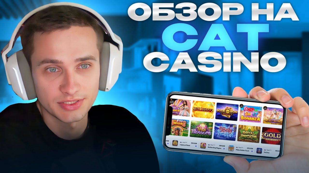 Бонус код cat casino 2023 catcasx com