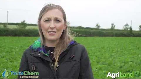 CROPS WATCH: Smart beet due fungicide