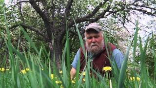 Closing Questions from Day Long Practical Orchard Health Session with Michael Phillips