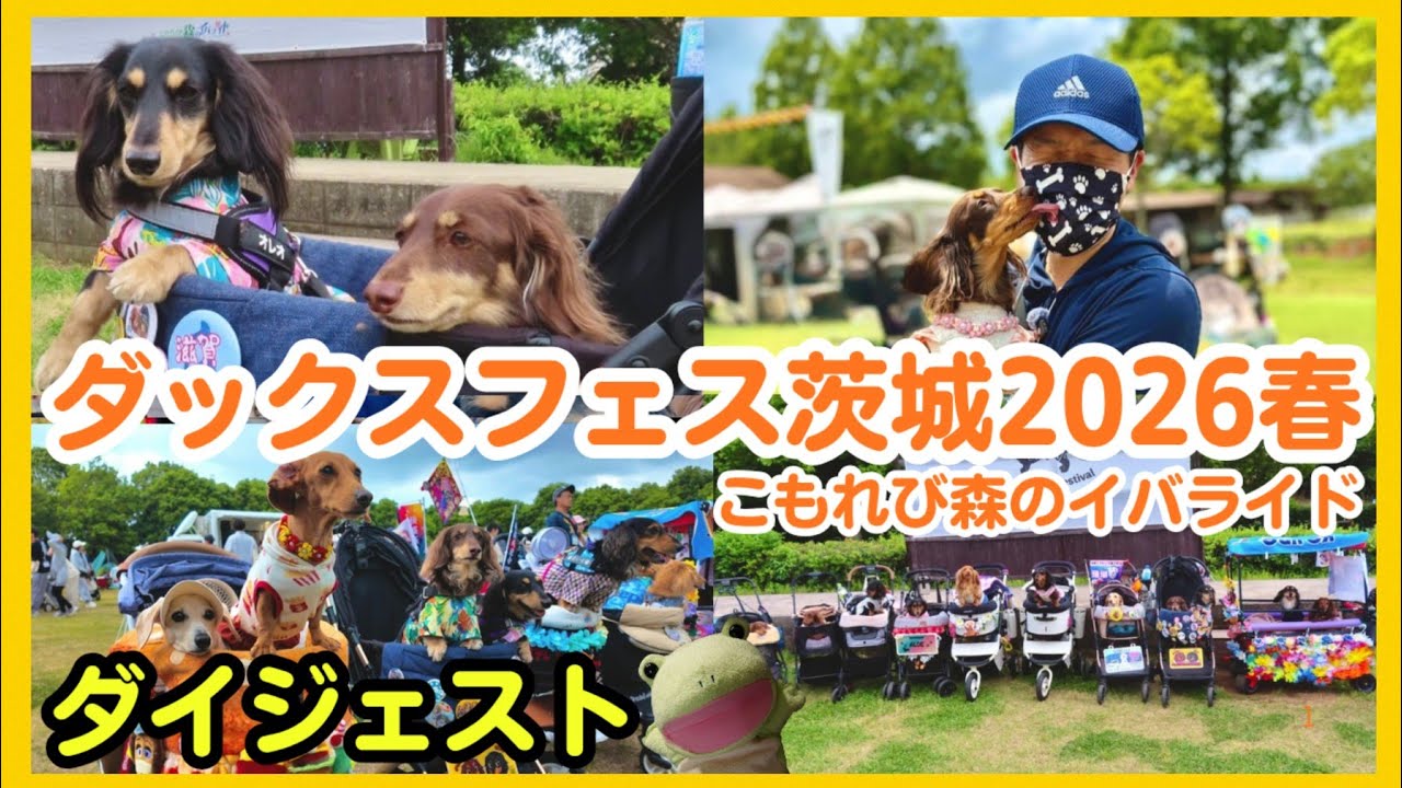 Dachshund Fest Ibaraki 2026] A dream day filled with dachshunds
