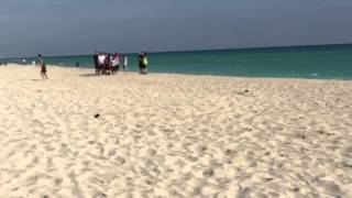 IMG 0037 2
