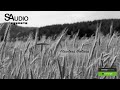 Flawless Galicia [Royalty Free] Background Music For Videos | Ukrainian Melodic Folk Trap | S-Audio