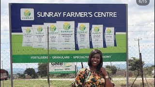 SUNRAY CORPORATION IN  BANKET ZIMBABWE : FERTILISERS and Inputs for Agriculture in zIMBABAWE