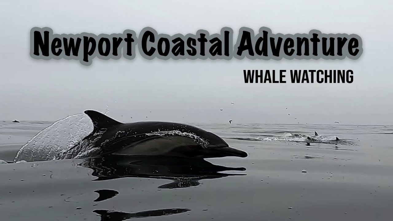 Newport Coastal Adventure: March 6, 2022 (2 Hr)
