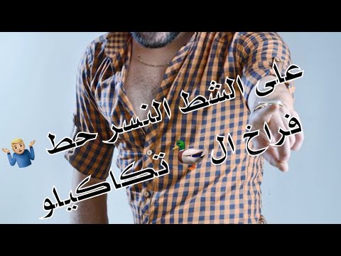 على الشط بسام كريدي  