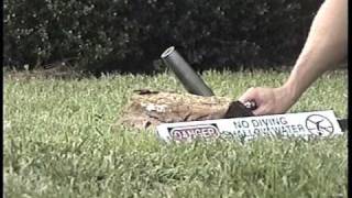 Shooting the Civil War cannon