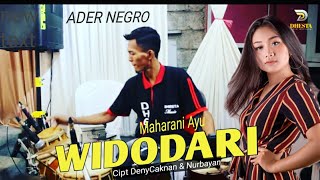 MAHARANI AYU Ft ADER NEGRO - WIDODARI [ KOPLO TERBARU ] - ( Cover Live New Dhesta Music )