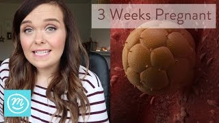 3 Weeks Pregnant: What You Need To Know - Channel Mum