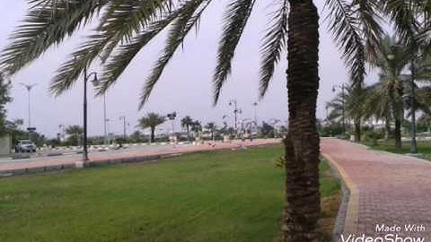 إن الله وملائكته يصلون على النبي ... تلاوة الأخ أيمن الخالدي