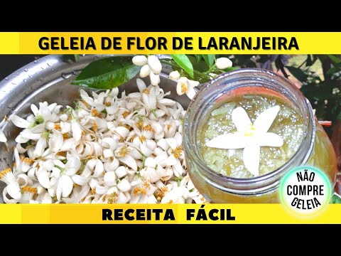 Vídeo: Geléia De Flor De Tília