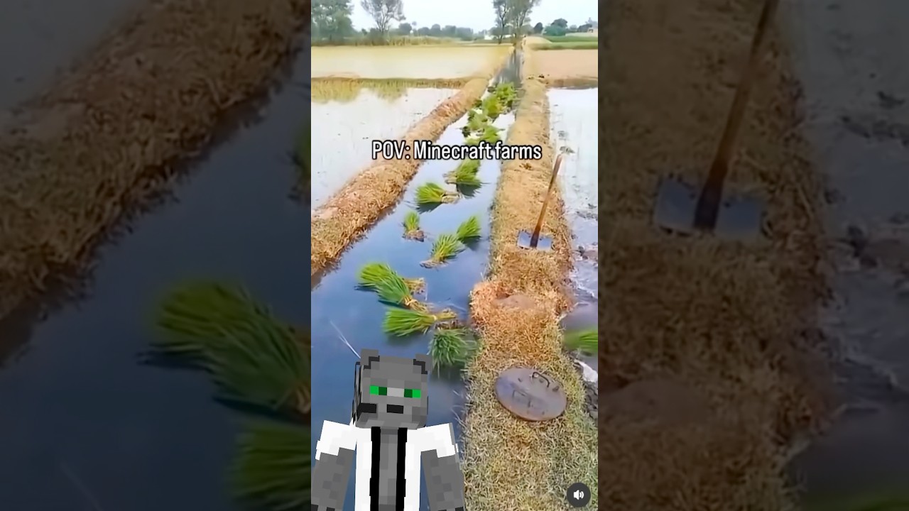 Granja Automática Real 🌾