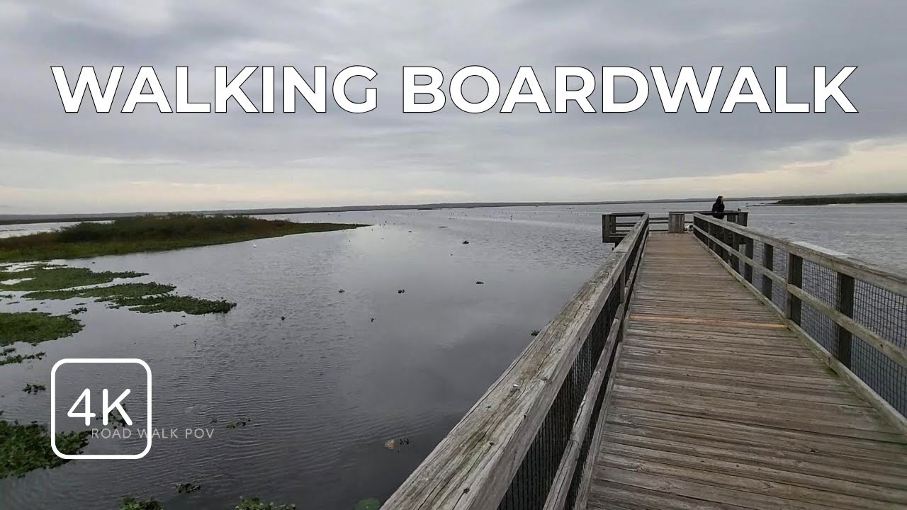 Walking Boardwalk POV – Ecopassage (Near Gainesville, FL) 4K