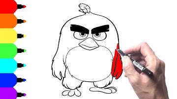 How to Draw Red from The Angry Birds Movie