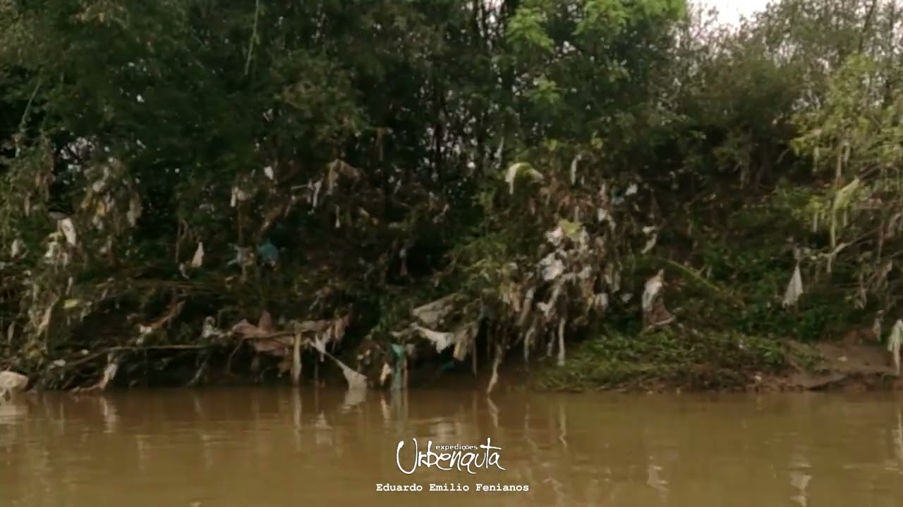 As árvores de Lixo do Rio Barigui 