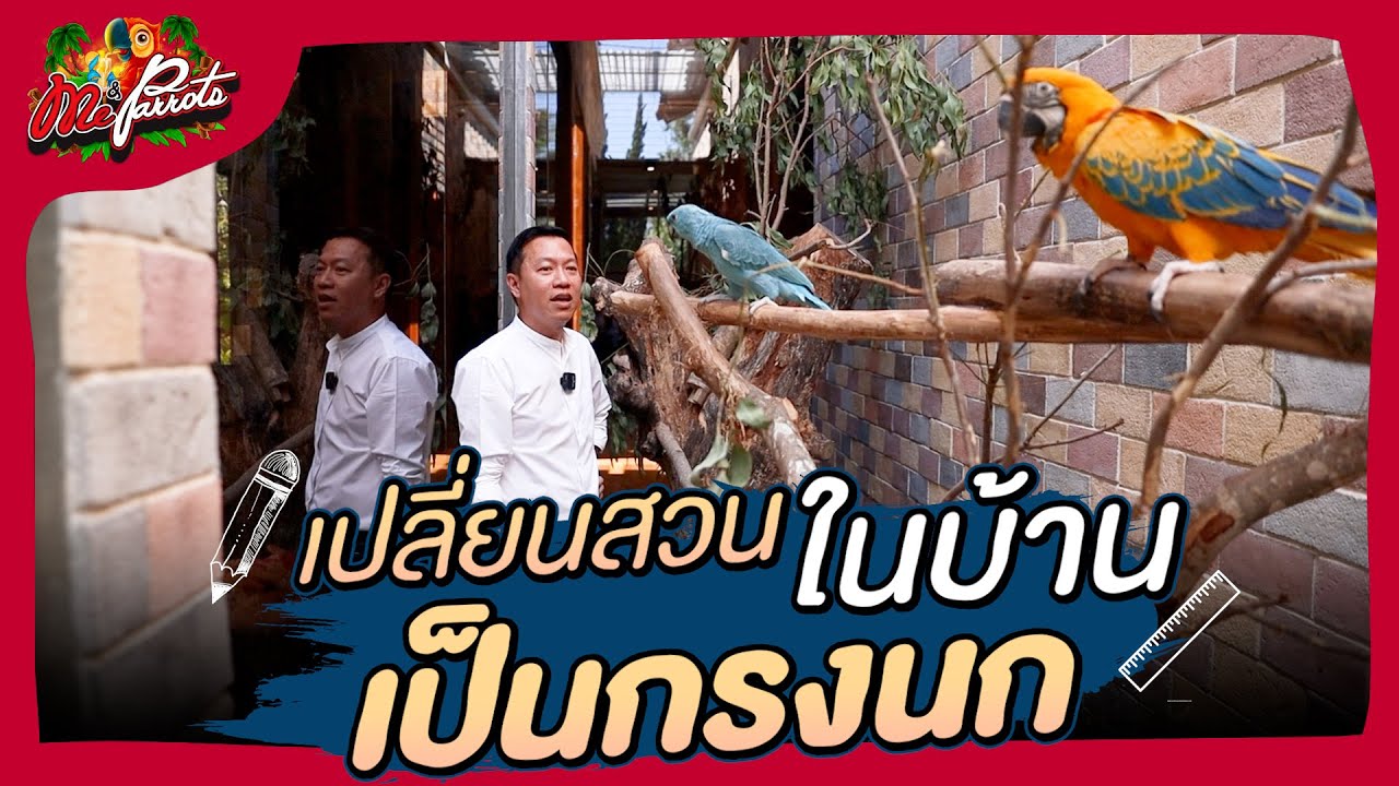 เปลี่ยนสวนในบ้านเป็นกรงนก