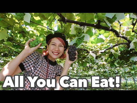 Travel to Nagano #4☆ Let's go fruit picking!! About 30 minutes from Matsumoto Castle♪ Japan vlog