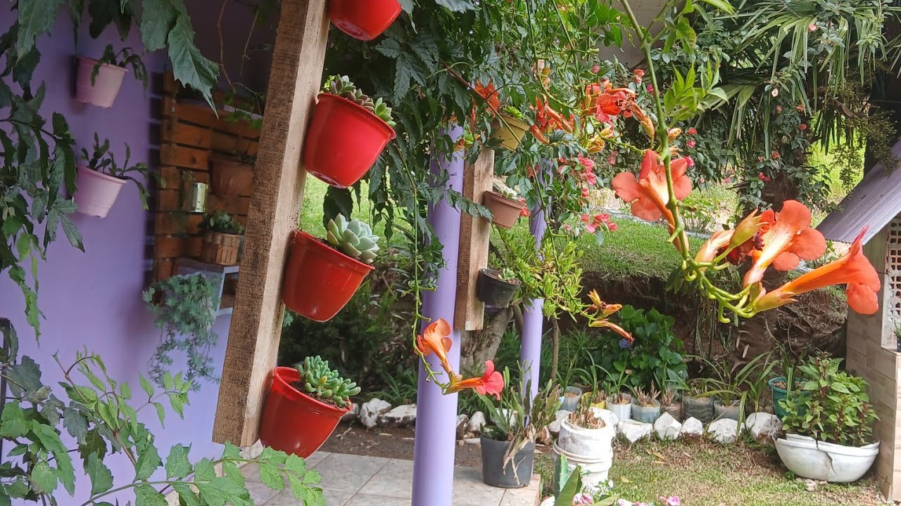 Mais um dia por aq ,replantio e mais flores novas por aq #plantas #flores 