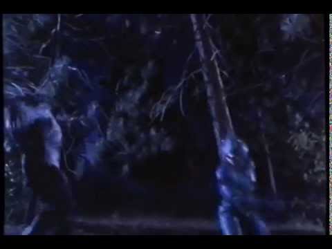 Guyver Dark Hero   Bear Attack