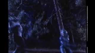 YouTube video _tCUregrjo4