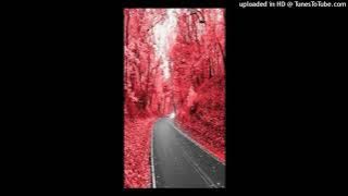 Gospel Type Beat 2021 | 'Amenitendea' Church Type Beat 2021