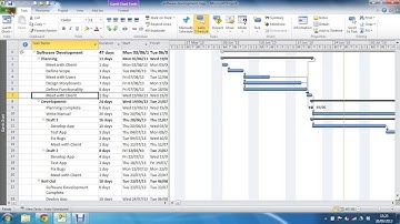 Where is the Entry Bar in MS Project 2010?