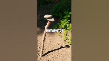 Basic Compass Navigation Using Shadows