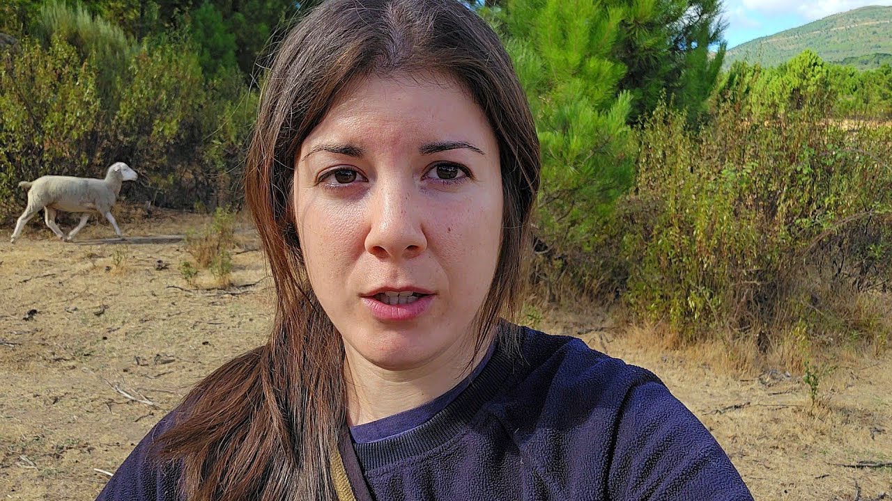 Primer día entrenando en campo abierto con Ramiro el perro pastor