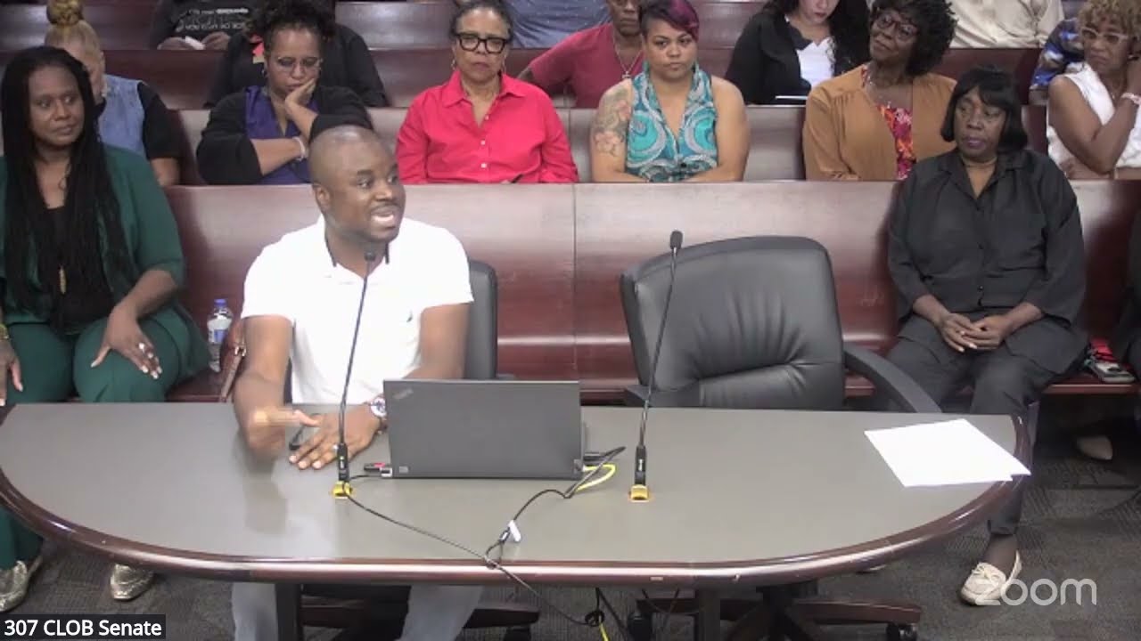 Michael Shepherd Speaks on HOA Solutions at The GA Senate Committee on Urban Affairs 9.18.2025