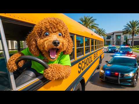I STOLE MY OWNERS SCHOOL BUS… **BIG MISTAKE**