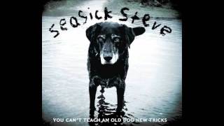 Video thumbnail of "Seasick Steve - Whiskey Ballad"