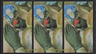 Lewis Fitzgerald - Guinness (Official Lyric Video)